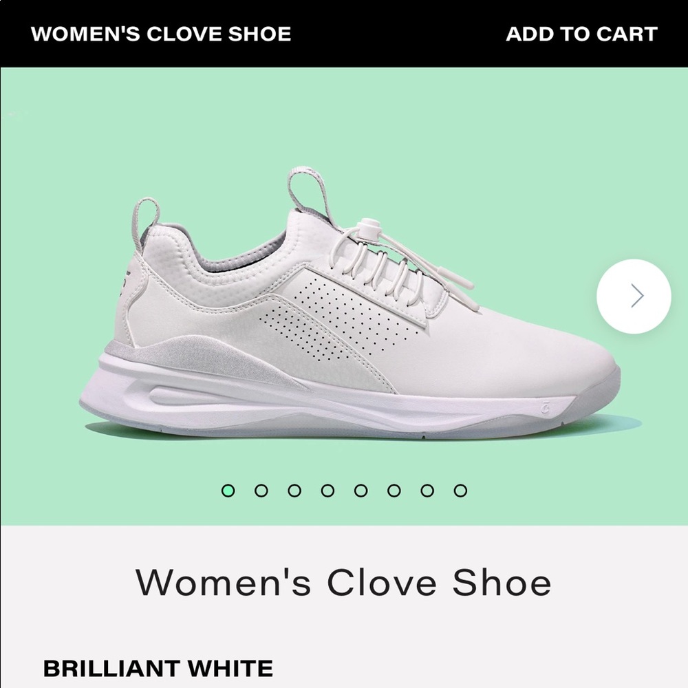 ISO Clove Shoes